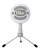 blue snowball is a good cheap streaming mic